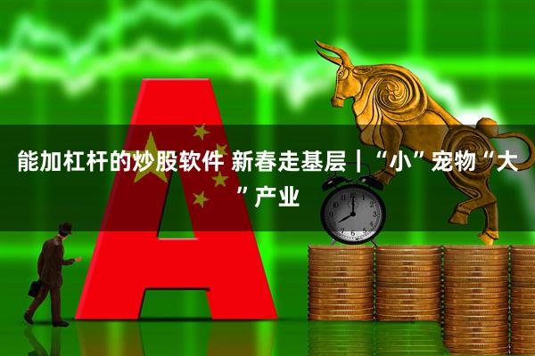 能加杠杆的炒股软件 新春走基层｜“小”宠物“大”产业